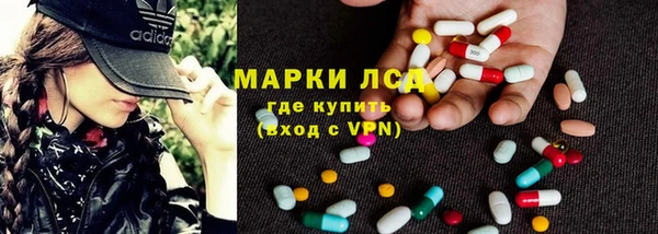 стаф Алексин