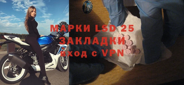 стаф Алексин