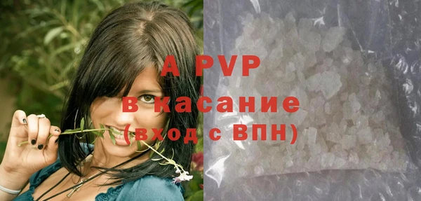 СК Алзамай